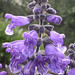 Joseph Royle Photo 6