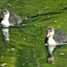 Richard Coots Photo 9