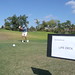 Mark Sokolowski Photo 11