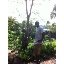 Anthony Kimani Photo 27