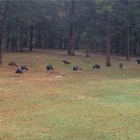 Gary Smothers Photo 22