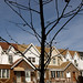 Lisa Scheer Photo 15