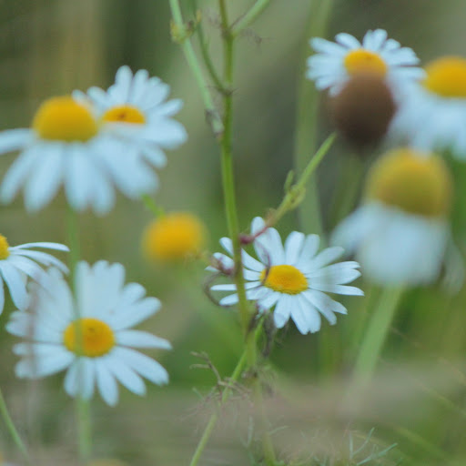 E N Photo 31