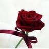 Ranjana Raj Photo 10