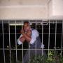 John Parham Photo 31