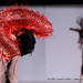 Vito Giotta Photo 3