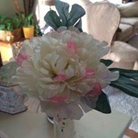 Carol Freeman Photo 15