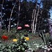 Lois West Photo 10
