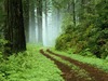 George Samaras Photo 38