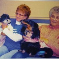 Nancy Sipes Photo 17