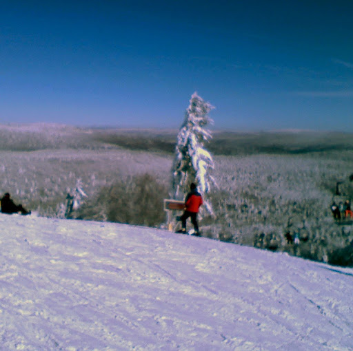 David Tripp Photo 49