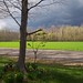 Gray Soper Photo 5
