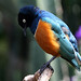 Elizabeth Starling Photo 9