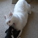 Fred Sprinkle Photo 8
