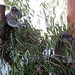 Casey Miles Photo 7