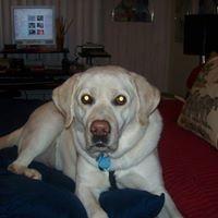 Ruth Becker Photo 32
