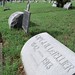 John Sherman Photo 25
