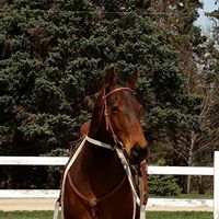 Julia Bruns Photo 18