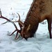 Timothy Wilder Photo 7
