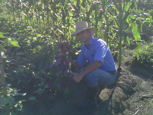 Jose Buezo Photo 7