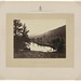 Timothy Wheeler Photo 17