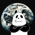Anders Chen Photo 9