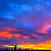 Sun Lim Photo 10