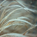Jacques Gauthier Photo 9