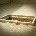 Mohammed Kabir Photo 19