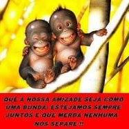 Rogerio Pacheco Photo 12