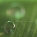 Marissa Rains Photo 1
