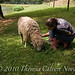 Lisa Novak Photo 12