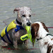 Lyn Tucker Photo 10