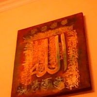 Altaf Qadri Photo 17