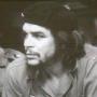 Tony Urso Photo 12