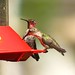 Anna Kerns Photo 7