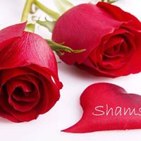 Shamshuddin Shaikh Photo 6