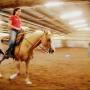 Joann Wood Photo 30