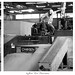 Sean Bird Photo 3
