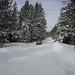 Stephen Kline Photo 7