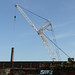 Truman Crane Photo 5