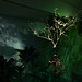 Linda Moss Photo 8
