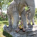 Da Tang Photo 8