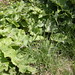 June Reichert Photo 11