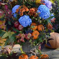 Margie Hoag Photo 2