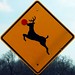 Rudolph Cross Photo 2