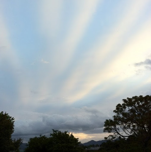 James Stern Photo 42