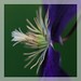 Judith Mims Photo 7