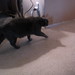 Jeffrey Hasty Photo 2
