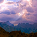 Sequoia Ray Photo 5